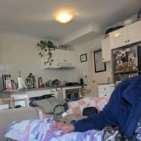 Photo of Maia, The Greyhound