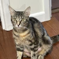 Photo of Molly