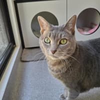 Photo of Lady