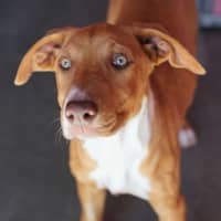Photo of Matilda