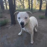 Photo of Kaos (4273)