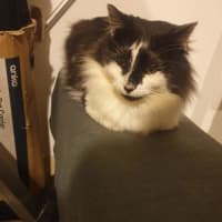 Photo of Sam Sam