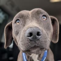 Photo of Bumble