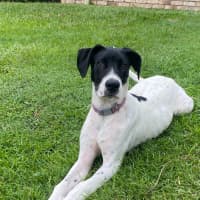 Photo of Ghost