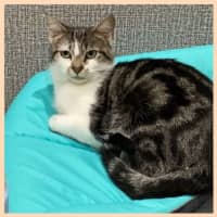Photo of Edna