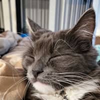 Photo of Sylvia