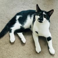 Photo of Bailey Junior