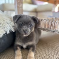 Photo of Bernie 