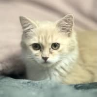 Photo of Rosemarie