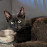 Photo of Xenon