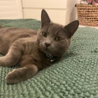Photo of Jack