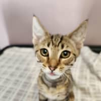 Photo of Andy   On Display @ Vets On Parker