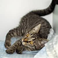 Photo of Bonnie