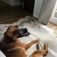 Photo of Beanie