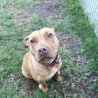 Photo of Sweetie