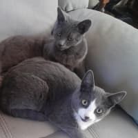 Photo of Jinx