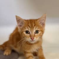 Photo of Leroy