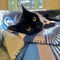 Photo of Echo