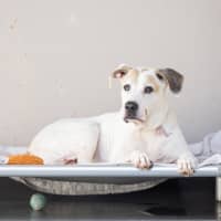 Photo of Storm 