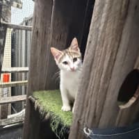 Photo of Jemima