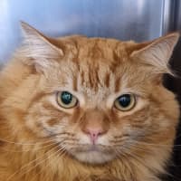 Photo of Phoenix