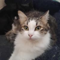 Photo of Drusilla And Spike