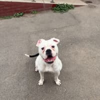 Photo of Billy