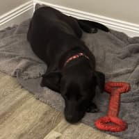 Photo of Mia