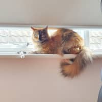 Photo of 🔮Pandora🔮