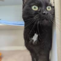 Photo of Tootsie