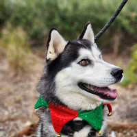 Photo of 🌪 Spiro 5596 🌪