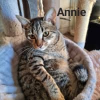 Photo of Annie