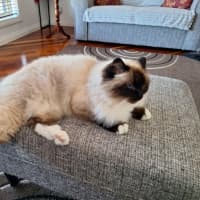 Photo of Princess Saffy