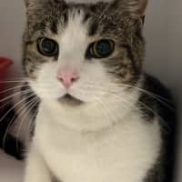 Photo of Wally