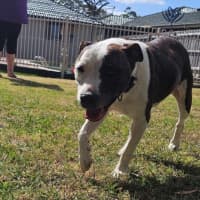 Photo of Blaze Newhaven