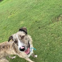 Photo of Turbo