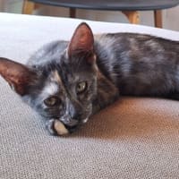 Photo of Betty