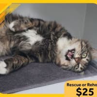 Photo of Mr. Thompson 