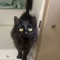 Photo of Sabrina
