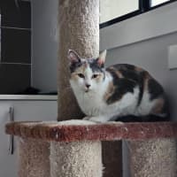 Photo of Jessica 