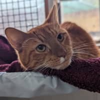 Photo of Charlie