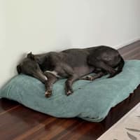 Photo of Blue