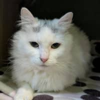 Photo of Breeze