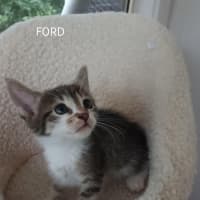 Photo of Ford