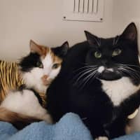 Photo of 🎀Brigita 6395 🎀