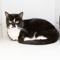 Photo of Kirra