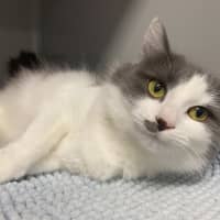Photo of Wanda