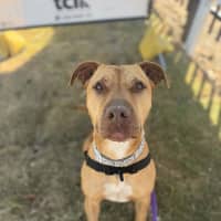 Photo of Rizzo