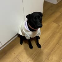 Photo of Felice (Astrid)