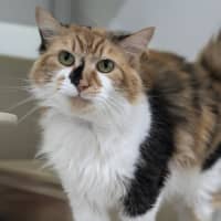 Photo of 🥂 Clicquot 5748 🥂